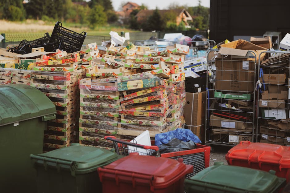 An outdoor scene featuring a large pile of stacked empty fruit and vegetable boxes made of light-colored cardboard, with bright, printed labels and images of produce on their surfaces, situated next to a collection of plastic bins and metal cages filled with various discarded cardboard, paper, and packaging materials on a paved surface. To the left, a dark green wheelie bin with a closed lid is visible, partially blocking the view of the other waste containers and collection units. In the background, there is a rural landscape with trees, grass, and a few distant houses under a clear sky, suggesting an everyday waste disposal situation that could relate to private or alternative rubbish removal services. The scene appears to be in a residential or semi-rural setting, emphasizing an informal collection area with mixed waste related to rubbish removal activities, as handled by local independent collection or private disposal firms. The visual environment is well-lit, with natural daylight illuminating the scene clearly, highlighting the textures of cardboard, plastic, and metal materials, and emphasizing the clutter associated with waste management or rubbish clearance efforts.
